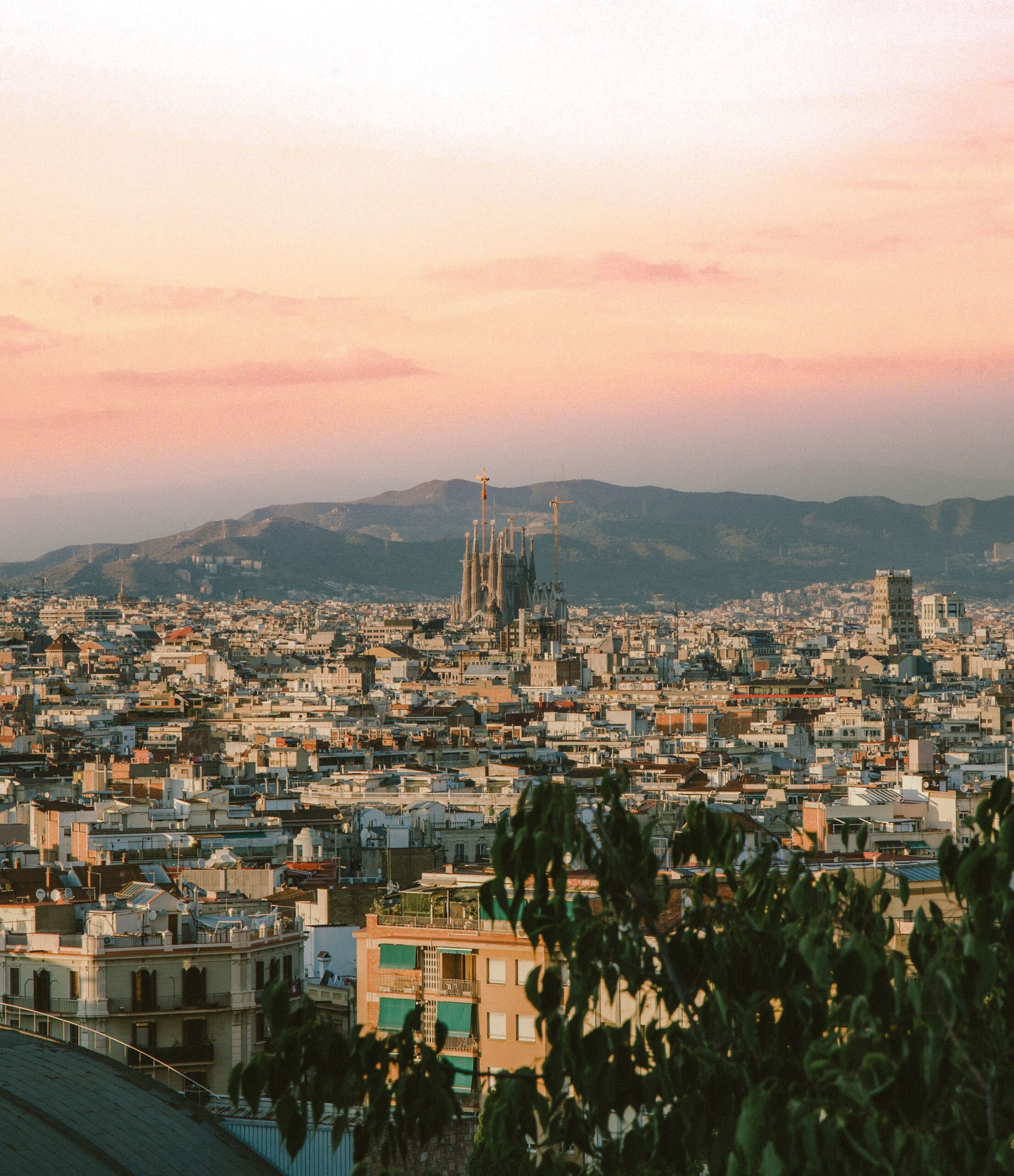 MED 26 — Barcelona